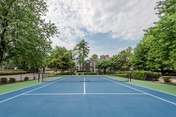 Tennis court(s)